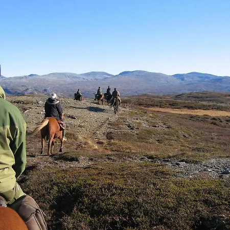 Hotel Væktarstua Rotvolden
