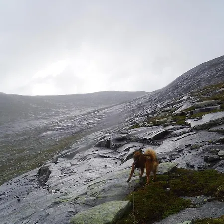 Væktarstua Rotvolden